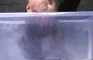 A lány az üvegben, az istállóban se geronazzo maria porn volt.egy idegennel.