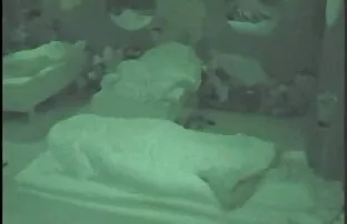 Vékony Hd Tomas fekete-fehér anális szex es porno